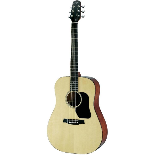 Walden Hawthorne HD220 akustick gitara