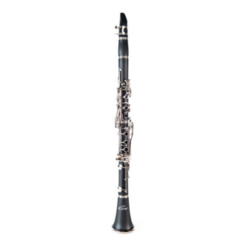 Odyssey OCL 120 klarinet