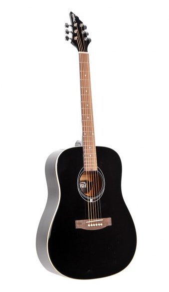 Flycat C100 BK akustick gitara