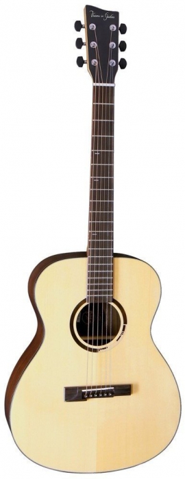 VGS 501350 R-50 Rose Natural Gloss elektricko-akustick gitara
