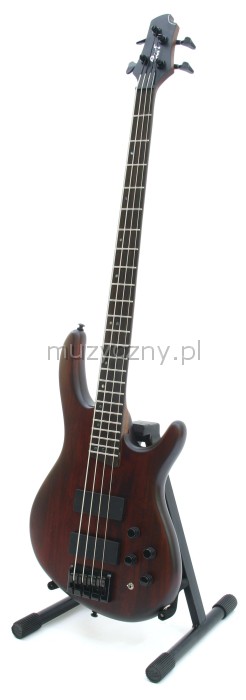 Cort C4 WS basov gitara