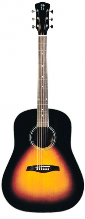 Levinson LJ-24 VS EAS elektricko-akustick gitara