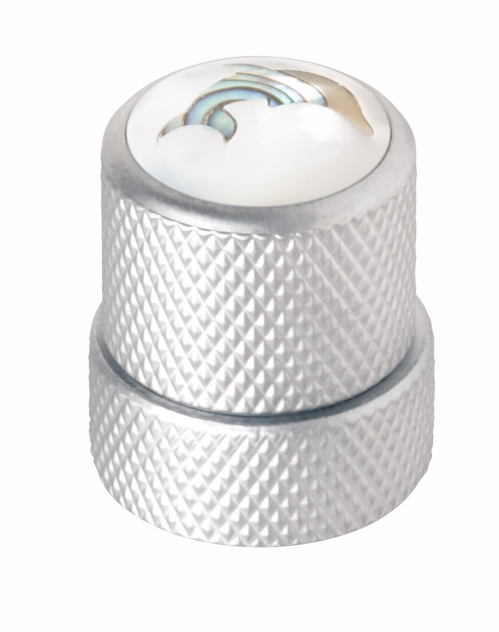 Warwick 30517 Sc Dolphin Warwick 30517 Sc Dolphin