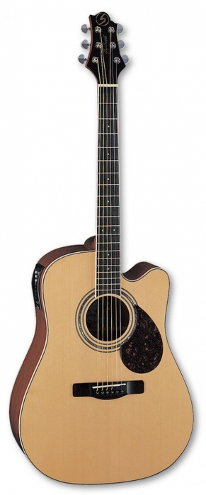 Samick D5ce N