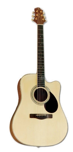 Samick GD-100SC NS