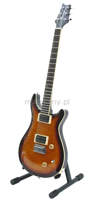 Richwood RE131 VS elektrick gitara