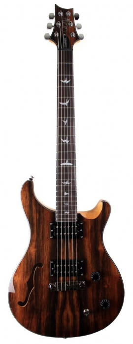 Prs 2017 Se Custom 22 Semi Hollow Ebony
