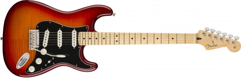 Fender Player Stratocaster Plus Top MN