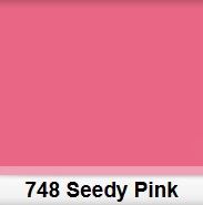 Lee 748 Seedy Pink filter