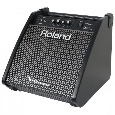 Roland PM-100