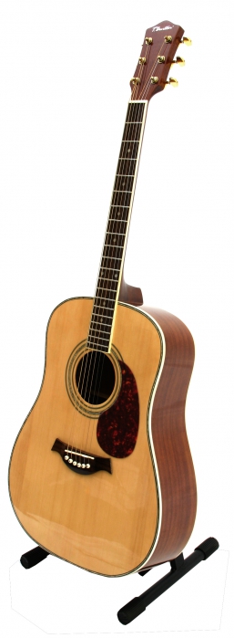 Burton W-24/N akustick gitara