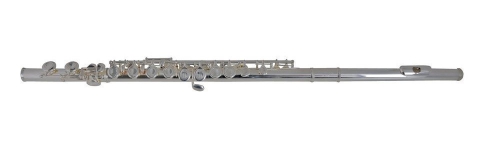 Armstrong FL-650E2D priena flauta s puzdrom