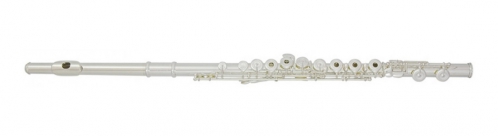 Trevor James 31CF-ROEH priena flauta s puzdrom