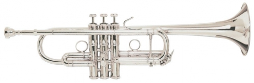 Vincent Bach C180SL229PC