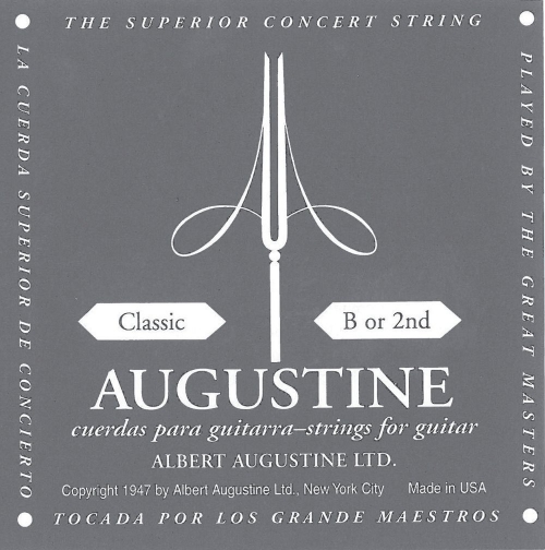 Augustine 650404
