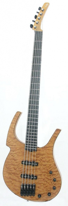 Parker Fly Bass 5N  basov gitara