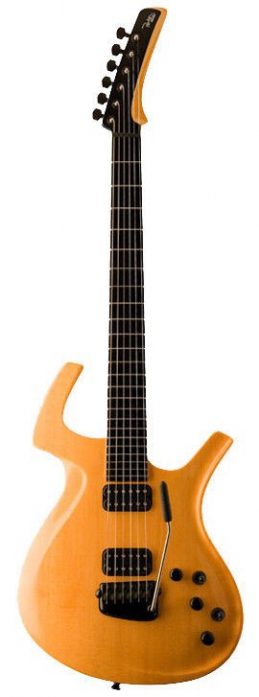 Parker Fly Artist Butterscotch RFA V elektrick gitara