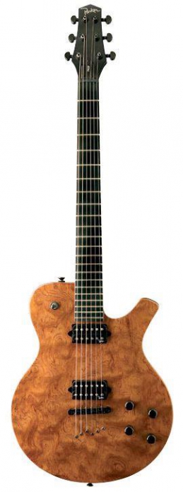 Parker PM 20 QG  elektrick gitara