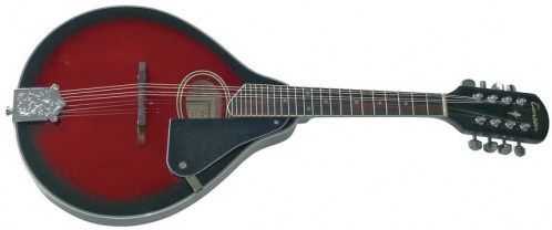 Tenson Mandolin