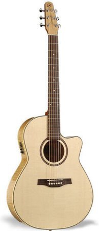 Seagull Performer Cw Folk Seagull Performer Cw Folk