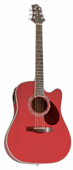 Samick D5 CE WR elektricko-akustick gitara