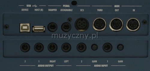 Korg PA 800 HD keyboard 61 klawiszy