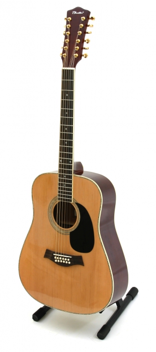 T.Burton Passage W N 12 strun akustick gitara