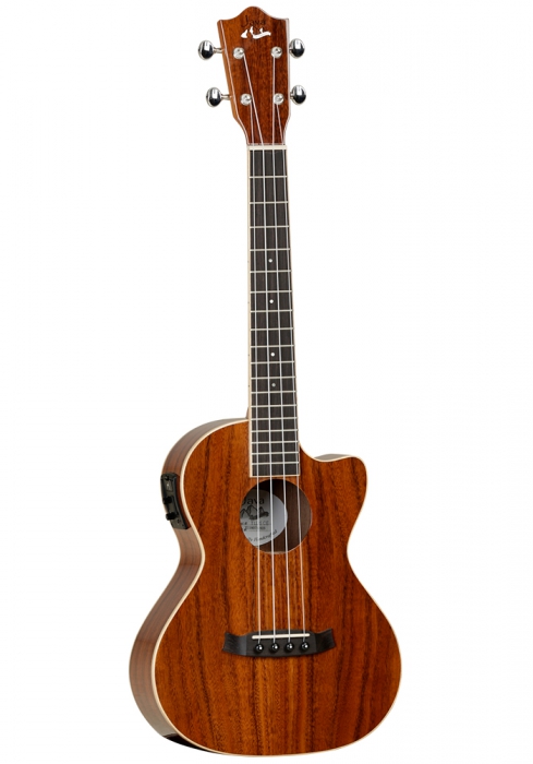 TANGLEWOOD TUJ5-CE TANGLEWOOD TUJ5-CE
