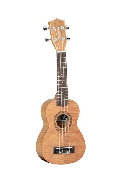 TANGLEWOOD TWT7