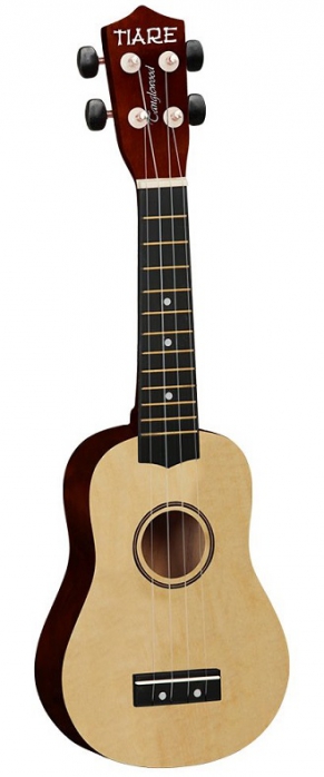 TANGLEWOOD TWTSP-NA
