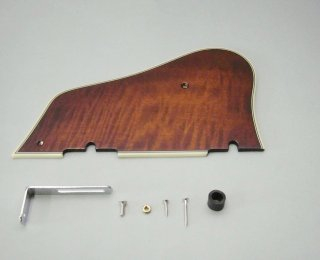 Ibanez 4PG1SM1VLS
