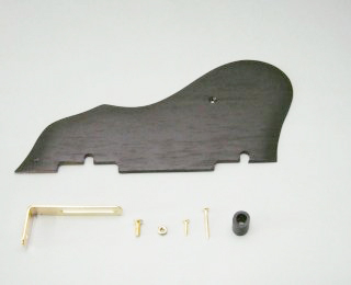 Ibanez 4PG1RW3
