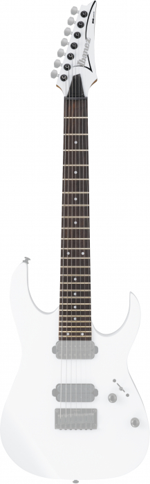 Ibanez 1NK1PA0278