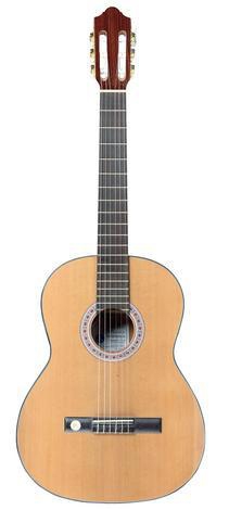 Gewa Pro Arte GC210 500030 klasick gitara