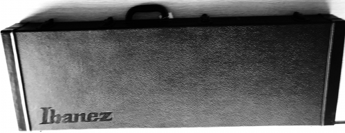 Ibanez W100LRG