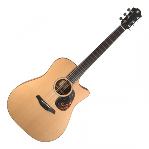 Furch Blue DC CM LR Baggs SPE