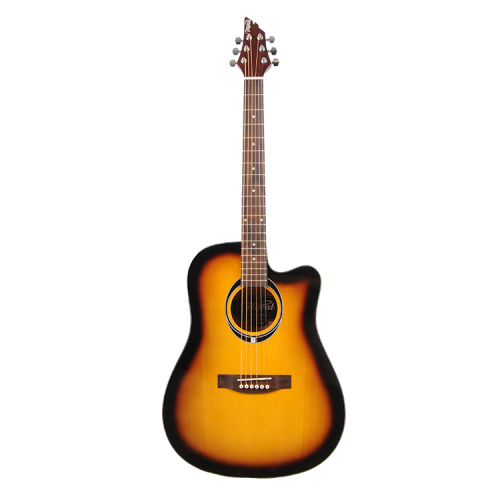 Flycat C100 TSB akustick gitara