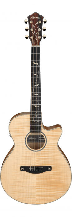 Ibanez AEG750-NT elektroakustick gitara