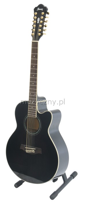 Ibanez AEL 2012 E TKS elektricko-akustick gitara