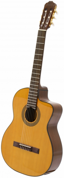 Takamine EG124C