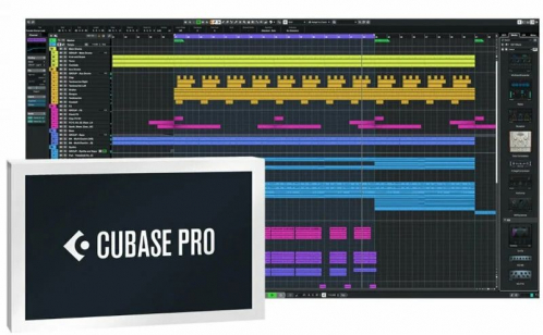 Steinberg Cubase 13 Pro program komputerowy - BOX