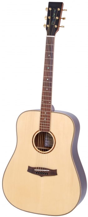 Tanglewood TR D akustick gitara