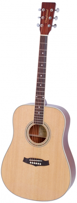 Tanglewood DBT DLX D akustick gitara