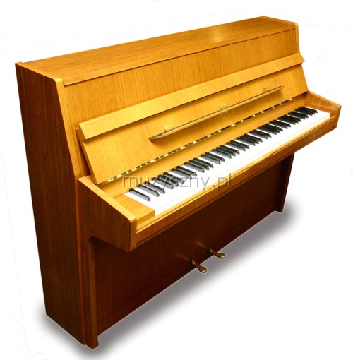 Steinmann piano