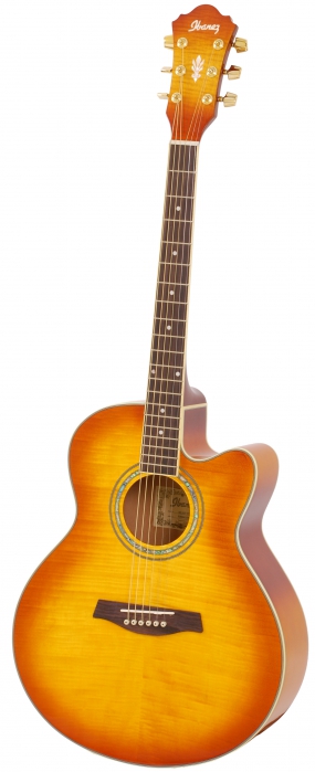 Ibanez AEL 20 E VV elektricko-akustick gitara