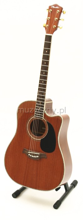 T.Burton W-34C/N akustick gitara