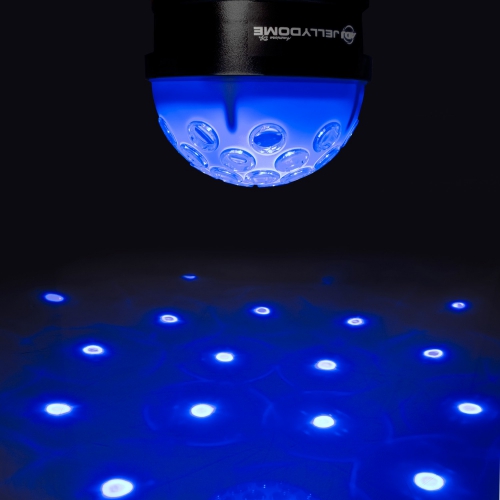 American DJ Jelly Dome LED Ball