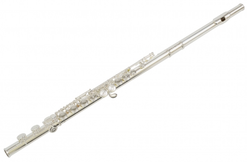 Trevor James 31PF-E  priečna flauta s puzdrom