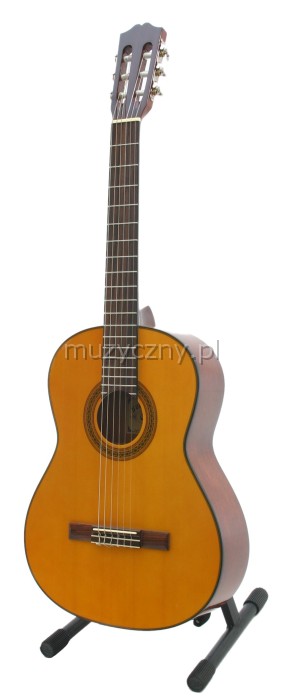Buena Vista Celine klasick� gitara