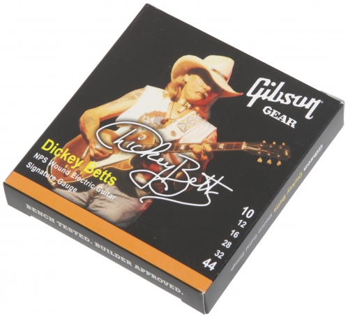 Gibson SEG Dickey Betts Signature struny na elektrick gitaru